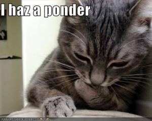 funny-pictures-cat-is-pondering